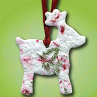 Reindeer Seeded Ornament